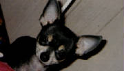 mychico.jpg